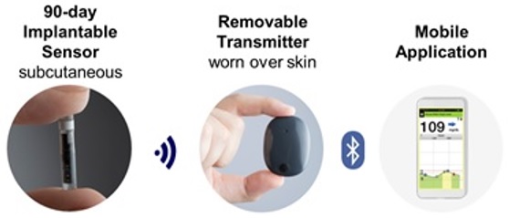 Eversense Sensor and Transmitter images
